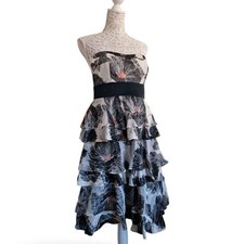 Monsoon evening party dress