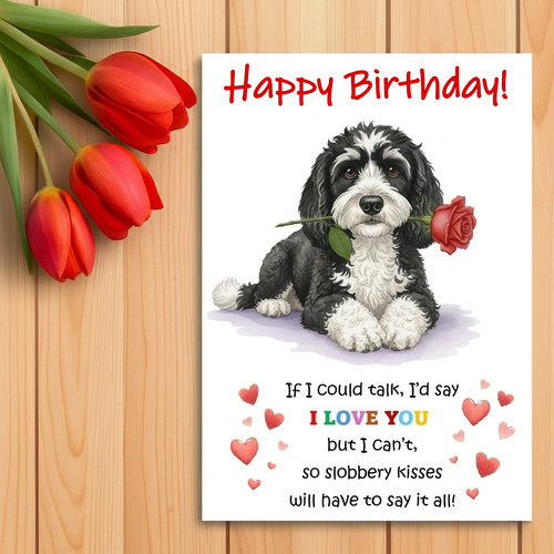 Cockapoo cockerpoo - –,