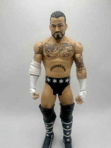 Wwe punk wrestling action - wwe,