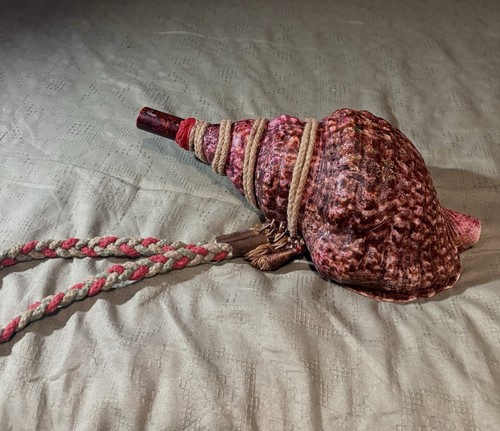 Beautiful japanese conch shell - beautiful,