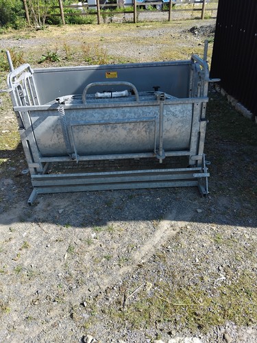 Sheep turnover crate - sheep,