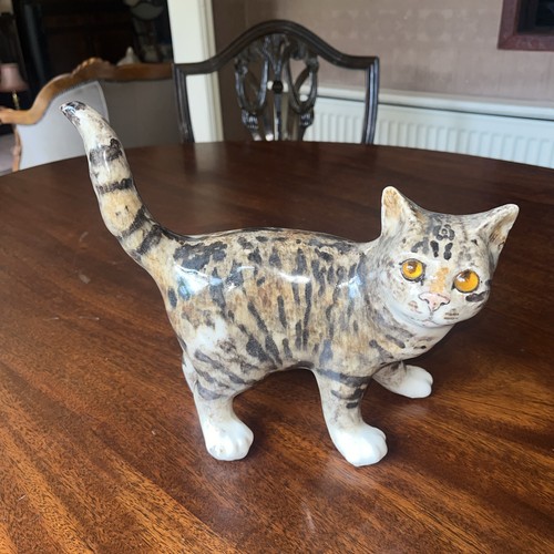 Winstanley cat size - cat,