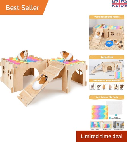 Extra large guinea pig - large, house