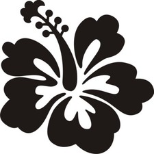 18 Large Hibiscus Flower