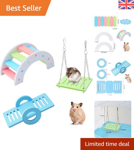 Rainbow hamster - 3-in-1,