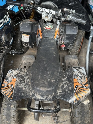 Electric quad bike - electric,