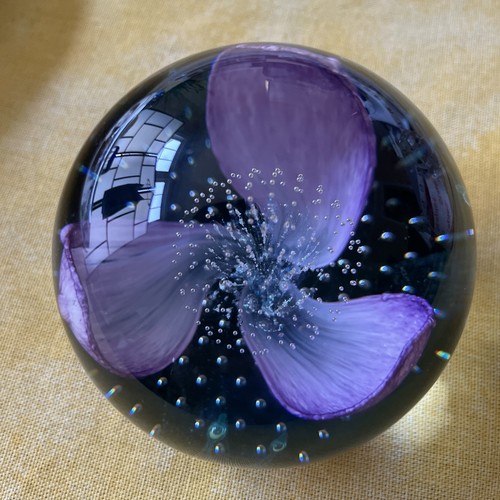 Firework orchid glass - firework,