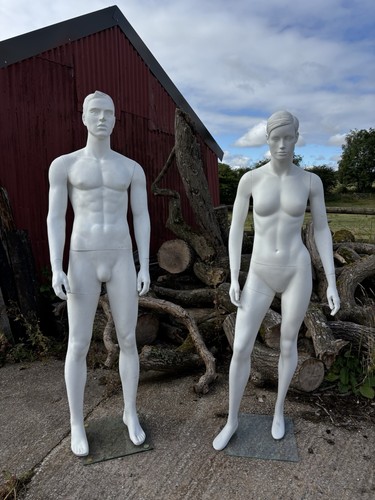 Full body mannequins - full, –