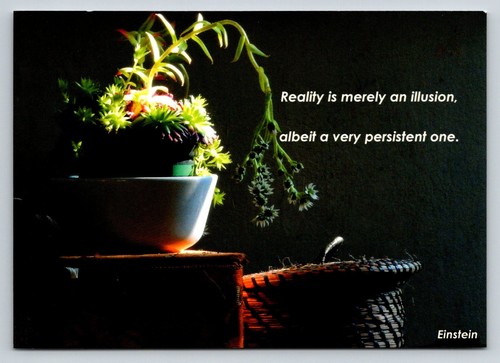Einstein reality illusion - reality,