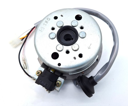Apache quad 100cc stator - apache, 100cc,stator