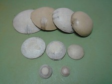 6 head covers, head pate
