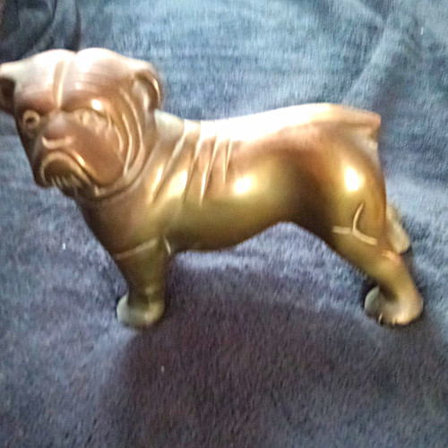 Bronze metal bulldog - bronze,
