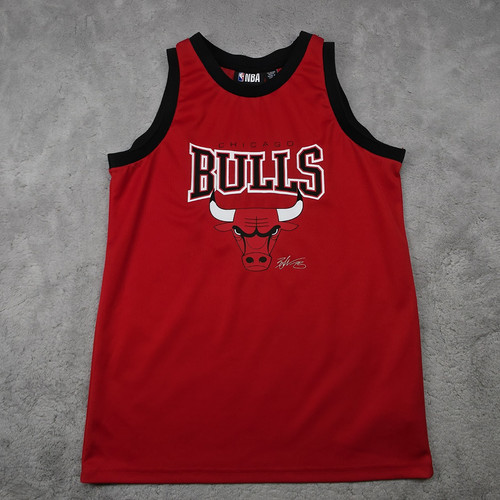 Chicago bulls nba - chicago, vest