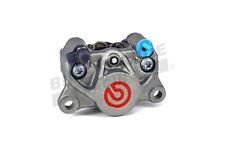 Brembo P2 Titanium Rear Brake