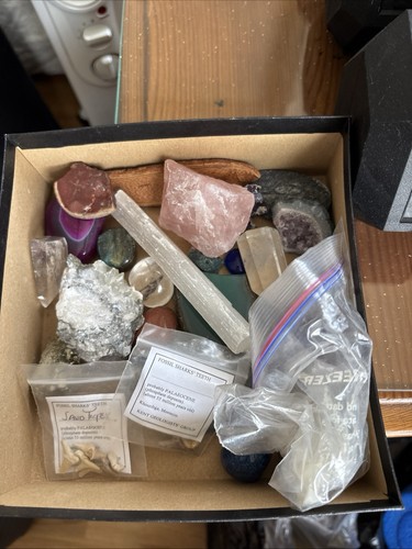 Assorted crystals and fossil - crystals,