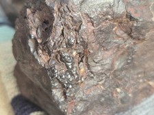 Botryoidal Hematite