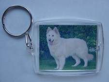 Cute Cats kittens dogs