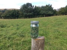3 jars Fresh Pine Needles, 210g Naturally Organic from Scots Pine Farm Hedgrerow