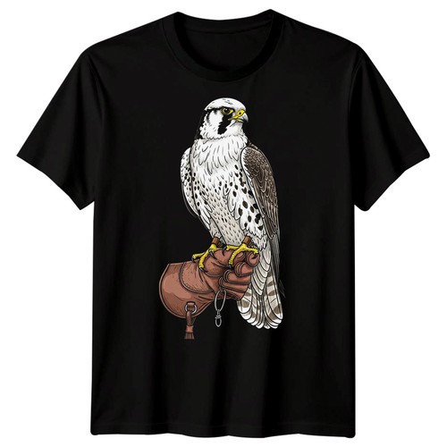 Falconry falcon bird prey - falcon,