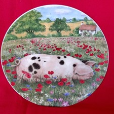 Poppies Royal Doulton Pigs in Bloom Collection Poppies Collectors Plate
