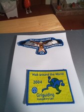 Girlguiding badges