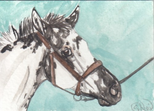 Aceo original watercolor art - aceo,