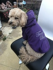 Job Lot Dog Hoodies, Blank And Ready To Personalise Size S