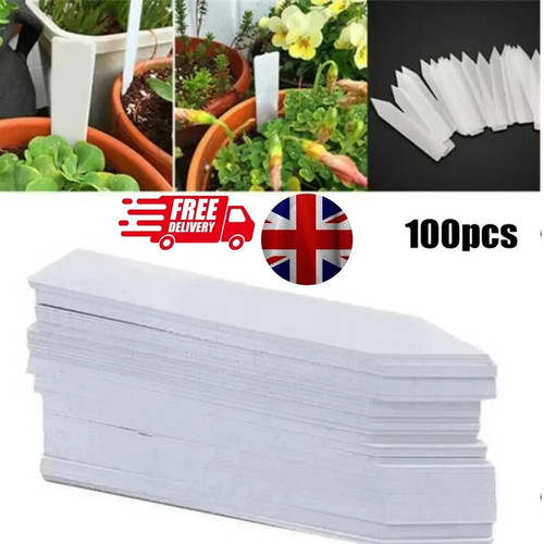 100 plant label - 100,