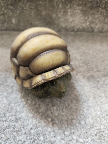 Stone critters turtle critter - stone,