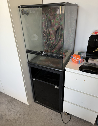 Glass reptile large vivarium - reptile,