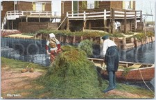 Artistic Vintage Postcard