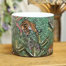 Tiger Animal Jungle Scene