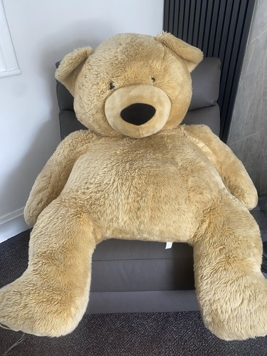 Giant teddy bear - giant,