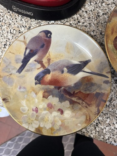 Coalport bird plates - coalport,