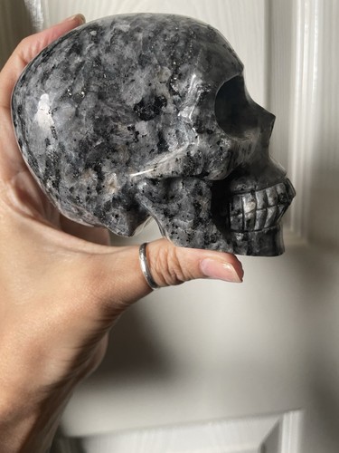 Large larvakite skull - larvakite,