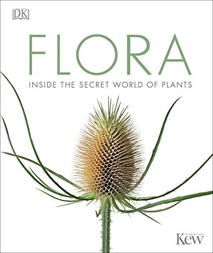 Flora inside the secret world - inside,
