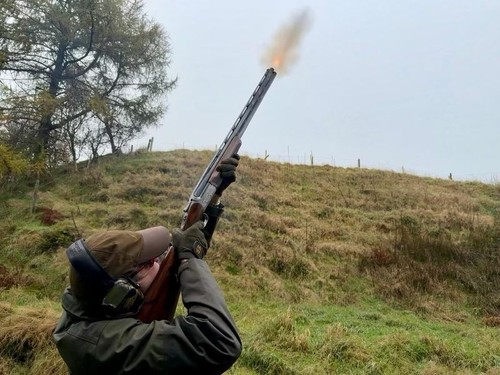 Clay pigeon simulated - clay,
