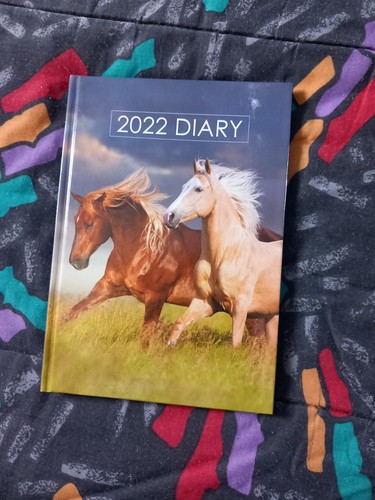 Unused hardback diary 2022 - a5,