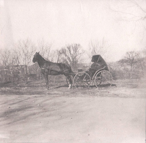 Vintage photograph - vintage,