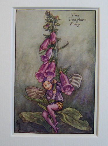 Vintage flower fairies print - flower,