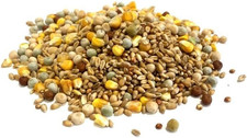 Mixed Pigeon Corn 1 .5Kg