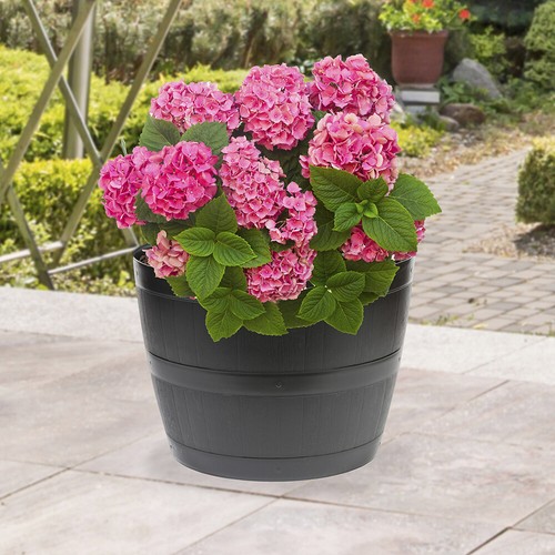 Garden planters barrel - garden, planters,