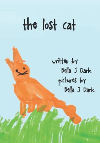 The lost cat - cat, snowy