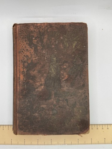The brown fairy book andrew - the,