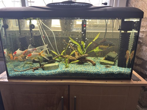 120l aquarium with - 120l,