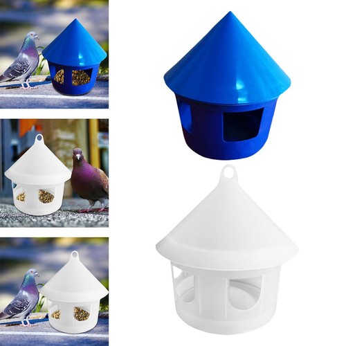 Pigeon water dispenser bird - water,
