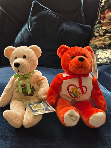 Plush teddy holy - plush,