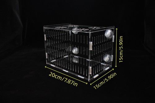 Fish breeding isolation - fish, box