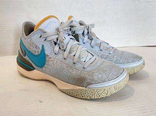 Nike zoom lebron nxxt gen - gen, blue