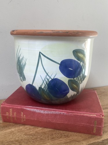 Vintage terracotta plant - terracotta,